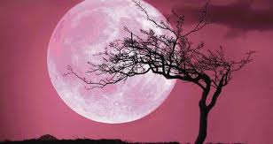 Stream lune rose by hoze from desktop or your mobile device. Comment Votre Signe Astrologique Sera Affecte Lors De La Pleine Lune Rose Du 30 Avril 2018 Esprit Spiritualite Metaphysiques Lune Rose Pleine Lune Magnifique Lune