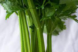 Benefits/drawbacks to cats eating celery. Can Cats Eat Celery