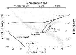 The Life Cycles Of Stars