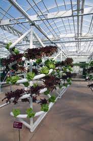 The Most Magical Place On Earth Hydroponics Hydroponic Gardening Epcot