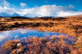 13 Ideas For Creative Camera Work Famous Landscape Photographers Digital Camera Photography Landscape Photographers