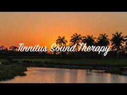Best Tinnitus Sound Therapy Ever 5 Night Sounds Youtube