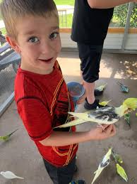 Lost Creek Safari in Stillwater is fantastic