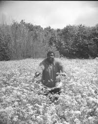 Image result for tbn:jOW523N__Sq6aM::www.psdsky.com/poto/imgINscren/1.gif