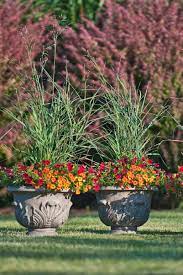 Shady, sunny, dry or windy—whatever your growing conditions, there's a plant that will flourish in your care. 24 Perennials For Containers Ideas In 2021 Perennials Container Gardening Plants