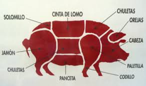 Resultado de imagen de partes de  un puerco