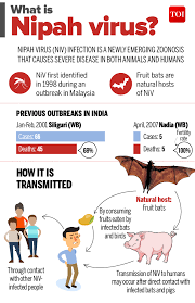 During early stages of the illness, laboratory testing can be conducted using real time polymerase chain. Nipah Virus Scare 10 Deaths In Kerala Due To Nipah Virus Symptoms Kozhikode News Times Of India