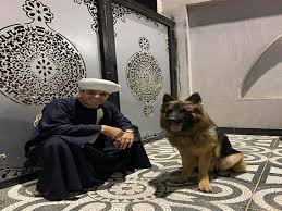 دوامة حقيبة هضبة بيت الي فيه كلب لا تدخله الملائكة cvc cny org