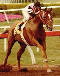 Last Triple Crown Winner Affirmed Unless California Chrome Wins The Belmont This Year Thoroughbred Horse Racing Thoroughbred Horse Horses