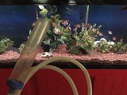 How To Siphon Your Aquarium Tutorial Cleaning Your Fish Tank Youtube Fish Tank Aquarium Aquarium Design