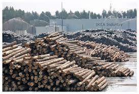 Ikea Industry Otwarla Najwiekszy Tartak W Polsce Drewno Pl