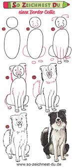 Pin On Hunde News