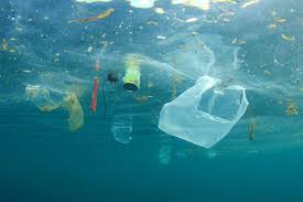 Maybe you would like to learn more about one of these? Miris Peneliti Temukan Sampah Plastik Di Palung Laut Terdalam Dunia