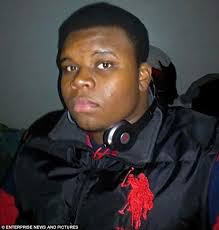 Why didn't Darren Wilson retreat and wait for back-up, former police chiefs  say, as they insist he did not have to shoot Michael Brown