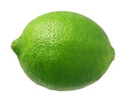 Wire Whisk Burrito Taco Chicken Enchiladas Coconut Lime Lime Lime Chicken