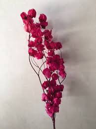 One of the dried flower suppliers sell only by the box, the other will accomodate clients seeking just a few bunches. Dried Hot Pink Bougainvillea Florabundance Wholesale Flowers