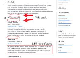 De Allerbeste Cv S Zo Moet Een Cv Eruit Zien In 2022
