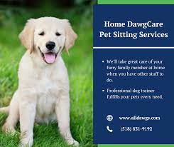 All Dawgs Expert Albany Dog Trainer Provides Professional Affordable And Reliable Pet Sitting Walking Dog Training Near Me Dog Clinic Dog Training Obedience