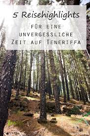 Funf Reisehighlights Fur Eine Unvergessliche Zeit Auf Teneriffa Teneriffa Urlaub Teneriffa Reisen