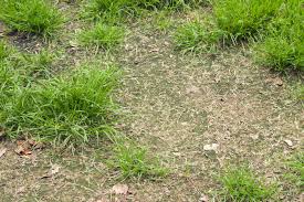 Currently we have a decking system made of rubber, called kontiki and we hope to install the grass on top of that. How To Install Artificial Grass On Dirt