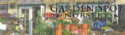 5 Reasons You Should Grow A Camellia Garden Spot Nursery