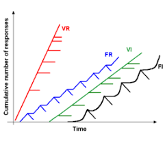 Reinforcement Wikipedia