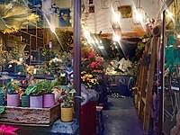 Same day delivery · 20% off all items · from $19.99 Floristry Wikipedia
