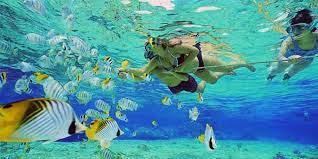 11 Best Snorkeling Spots In America Ecowatch