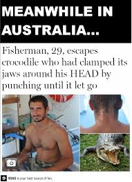 Overly Manly Man Meanwhile In Australia Australia Funny Funny Meme Pictures