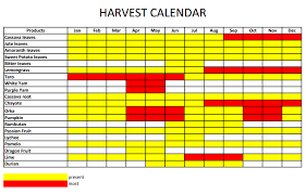 Harvest Calendar Of Fruits And Vegetables In Vietnam