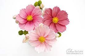 Gumpaste Cosmos Flower Tutorial Flower Video Tutorials Flower Tutorial Cake Flowers Tutorial