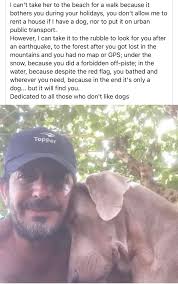 I wish Beverly was more dog friendly than it is.