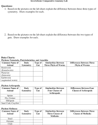 invertebrate comparative anatomy lab pdf