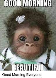 Good morning you, he mumbled kissing his way up dean's neck to his lips, his forehead dropping to rest against dean as his hand moved up and down his side and around his back. 80 Good Morning Memes To Kickstart Your Day Sayingimages Com