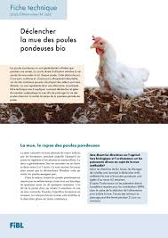 Dans l'industrie du poulet, il existe deux secteurs principaux : Declenchement De La Mue