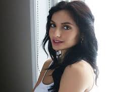 She has a younger brother named omar. Nora Fatehi Biography Wiki Family Pics Profile Movie List And More
