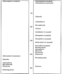 Image result for Metasphaeria diplodiella