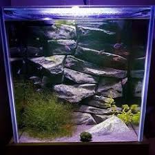 Book one of our luxury hotel suites & villas direct to receive our best price guarantee. 30 Batu Karang Ideas Aqua Decor 3d Background Aquarium Backgrounds