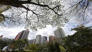 O frio continua e, segundo o sistema de tecnologia e monitoramento ambiental do paraná (simepar), muitas nuvens se formam no paraná nos próximos dias, com previsão de chuvas mais intensas para a. Frente Fria Se Aproxima E Muda O Tempo Em Curitiba Veja A Previsao 98fm Curitiba Sintonize 98 9