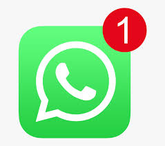 Chat on WhatsApp