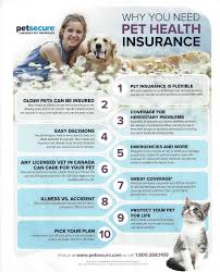 Wellness exams, dental cleaning, neutering or spaying, or vaccines may be selected as part of some pet insurance. Pet Health Insurance Wetaskiwin Animal Clinic