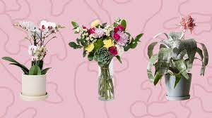 Maybe you would like to learn more about one of these? 19 Best Flower Delivery Services Shop Bouquets For Any Occasion Online Glamour