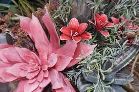 Metropolitan plant & flower exchange is one of northern new jersey's largest and most respected names in the floral industry, with special emphasis on weddings. Metropolitan Plant And Flower Exchange Fort Lee West Orange Paramus Nj West Orange Fort Lee Plants