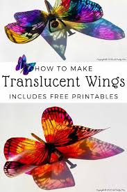 How To Make Translucent Dragonfly Wings In 2020 Dragonfly Wings Diy Wings Butterfly Wings