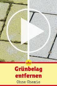 Grunspan Entfernen Selbst De Grunspan Entfernen Gruner Garten Paletten Garten