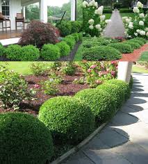 Full sun to part shade. Green Velvet Boxwood Buxus Microphylla Zone 4 9 Part Full Sun 3 4 Height Width Dense Evergreen Front Yard Landscaping Shade Shrubs Green Velvet Boxwood