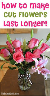 This time of year i almost always have fresh cut flowers around the house. Pin On Cut Flowers