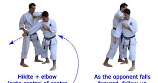 The Hikite In Martial Arts Full Potential Martial Arts Martial Arts Martial Karate