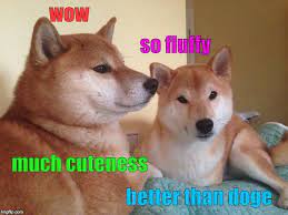 Doge Meme Generator Doge Doge Meme Memes