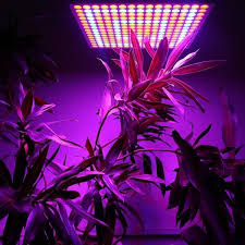 Reflector Cup Full Spectrum Led Grow Lights For Greenhouse Commercial Hydro Plant Led Grow Lights Grow Lights For Plants Indoor Greenhouse